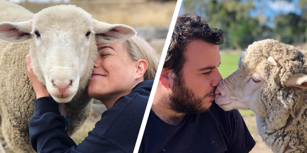 How all lambs should live! Discover more about these rescued sheep on instagram.com/kinglouislamb