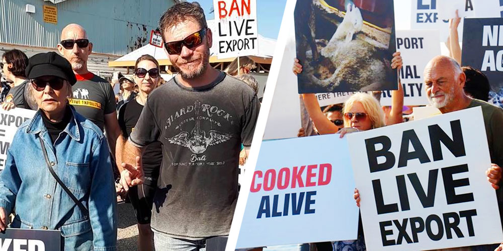 Stand Strong Fremantle S Biggest Live Export Protest Yet Animals Australia