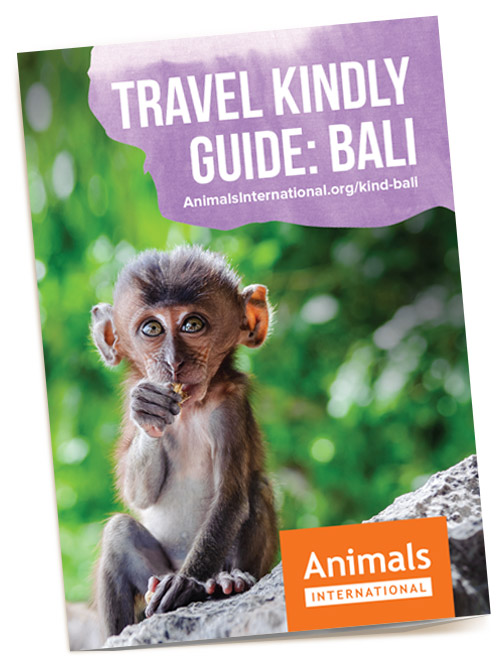 Order your free Bali kind travel guide